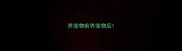 养宠物前养宠物后