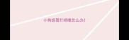 小狗感冒打喷嚏怎么办