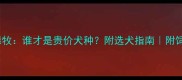 边牧VS德牧谁才是贵价犬种附选犬指南附饲养成本全