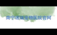 南宁诺瑞宠物医院官网