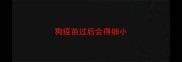 狗疫苗过后会得细小