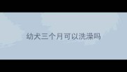 幼犬三个月可以洗澡吗