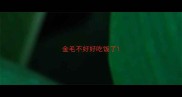 金毛不好好吃饭了