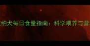 9个月罗威纳犬每日食量指南科学喂养与营养配比全