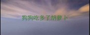 狗狗吃多了胡萝卜