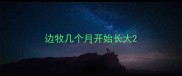 边牧几个月开始长大