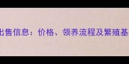 最新拉布拉多出售信息价格领养流程及繁殖基地联系方式全