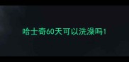 哈士奇60天可以洗澡吗