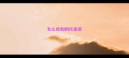 怎么给狗狗吃蔬菜