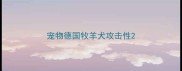 宠物德国牧羊犬攻击性