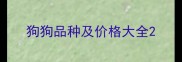 狗狗品种及价格大全