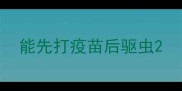 能先打疫苗后驱虫