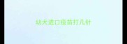 幼犬进口疫苗打几针
