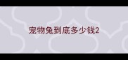 宠物兔到底多少钱