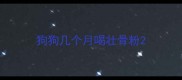 狗狗几个月喝壮骨粉
