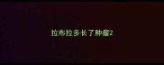 拉布拉多长了肿瘤