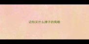 边牧买什么牌子的狗粮