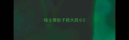 哈士奇肚子前大后小