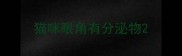 猫咪眼角有分泌物