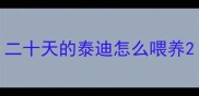 二十天的泰迪怎么喂养