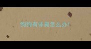 狗狗有体臭怎么办