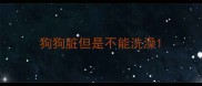 狗狗脏但是不能洗澡