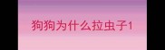 狗狗为什么拉虫子