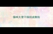 猫咪大便干燥结成颗粒