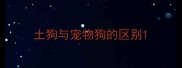 土狗与宠物狗的区别