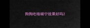 狗狗吃咳喘宁效果好吗