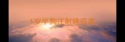 1岁半狗注射啥疫苗