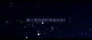 跟小狗玩的时候被咬伤