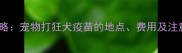 最新全攻略宠物打狂犬疫苗的地点费用及注意事项全