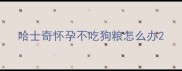 哈士奇怀孕不吃狗粮怎么办
