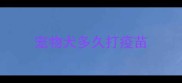 宠物犬多久打疫苗