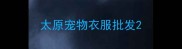 太原宠物衣服批发