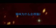 猫咪为什么会得猫