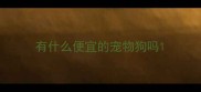 有什么便宜的宠物狗吗