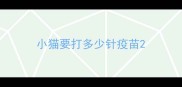 小猫要打多少针疫苗
