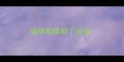 猫咪眼睛肿了流泪