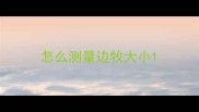 怎么测量边牧大小