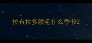 拉布拉多脱毛什么季节