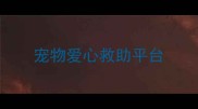 宠物爱心救助平台
