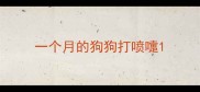 一个月的狗狗打喷嚏