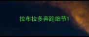 拉布拉多奔跑细节