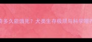 哈士奇多久能饿死犬类生存极限与科学喂养指南