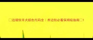 边境牧羊犬颜色代码全养边牧必看保姆级指南