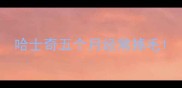 哈士奇五个月经常掉毛