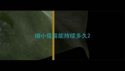 细小疫苗能持续多久