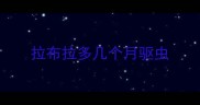 拉布拉多几个月驱虫